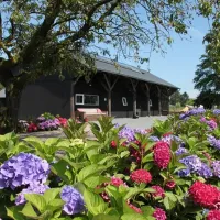 Kampeerhoeve Bussloo