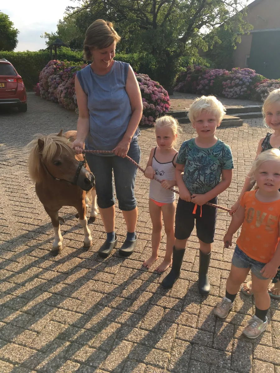 kampeerhoeve-bussloo-bussloo-sk7gd