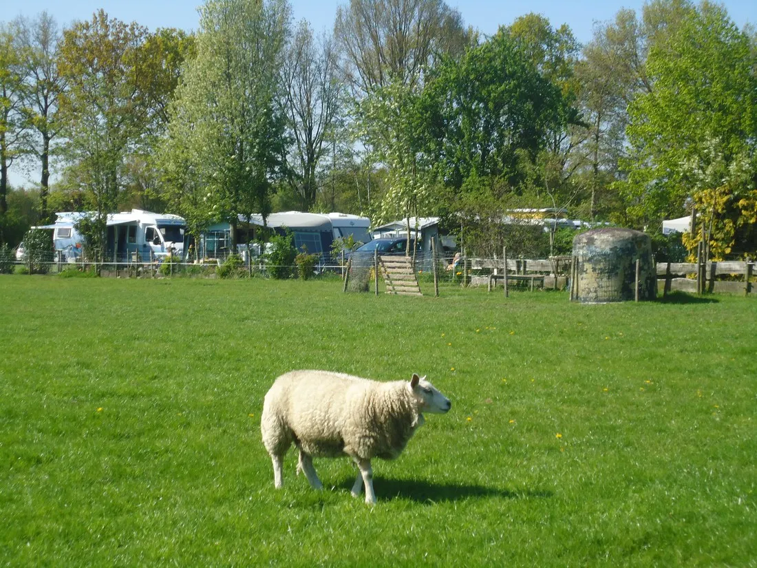 anne-marie-hoeve-oisterwijk-ctd8z