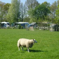 anne-marie-hoeve-oisterwijk-ctd8z