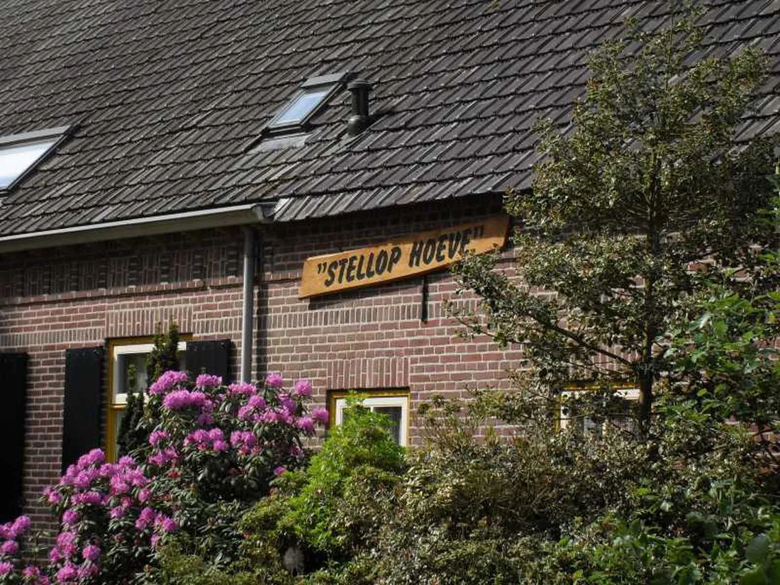 anne-marie-hoeve-oisterwijk-w1sx0