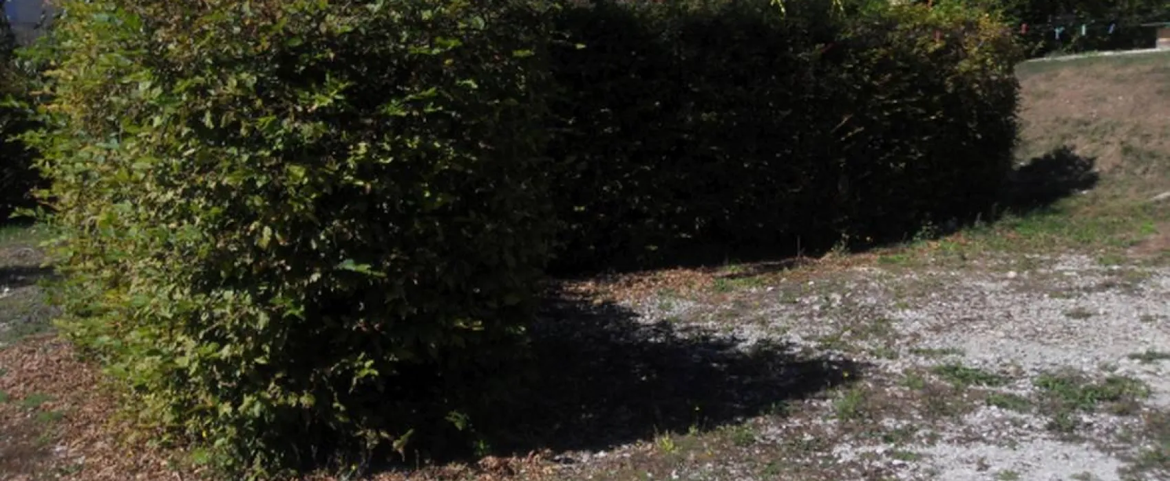 Camping De La Bucle
