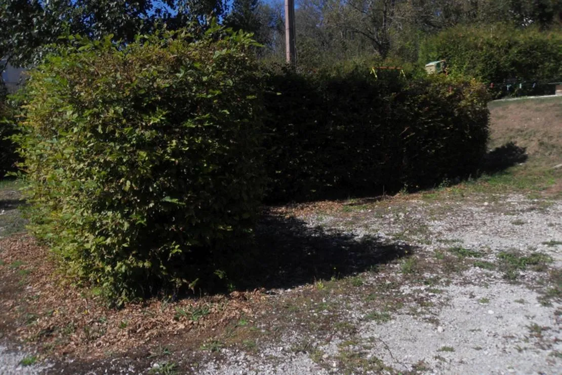 camping-de-la-bucle-morbier-rm2gf