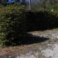 camping-de-la-bucle-morbier-rm2gf