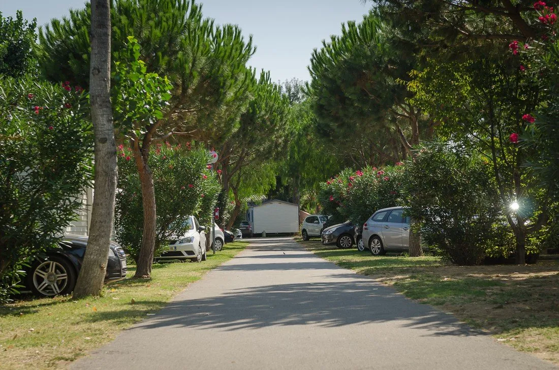 la-plage-argeles-sur-mer-i2d7s