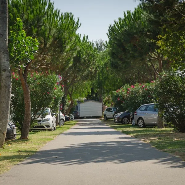 la-plage-argeles-sur-mer-i2d7s