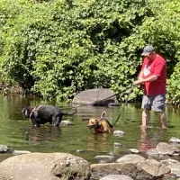 nickerson-park-campground-chaplin-zglgk