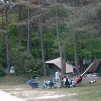 sparrenhof-gasselte-gulzh