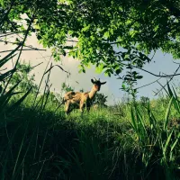 wild-camping-paladini-chiozza-pyafb
