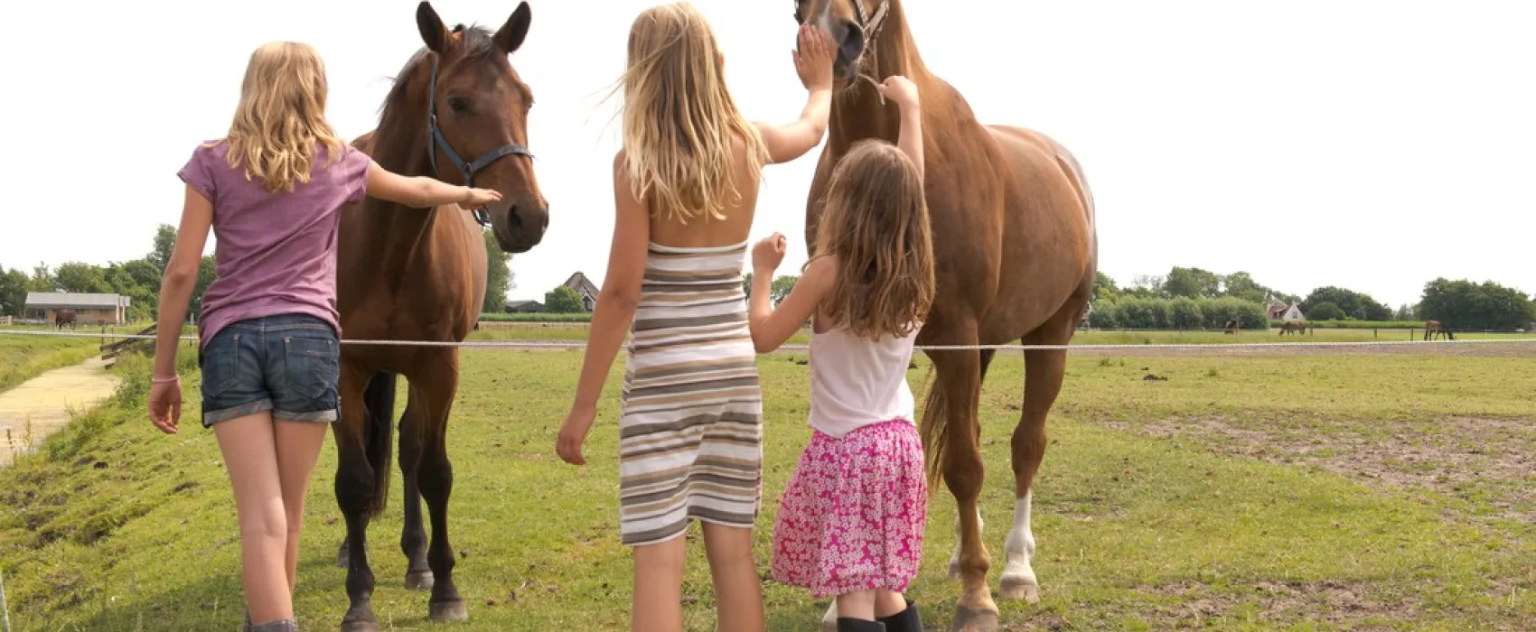 Fleur Stables