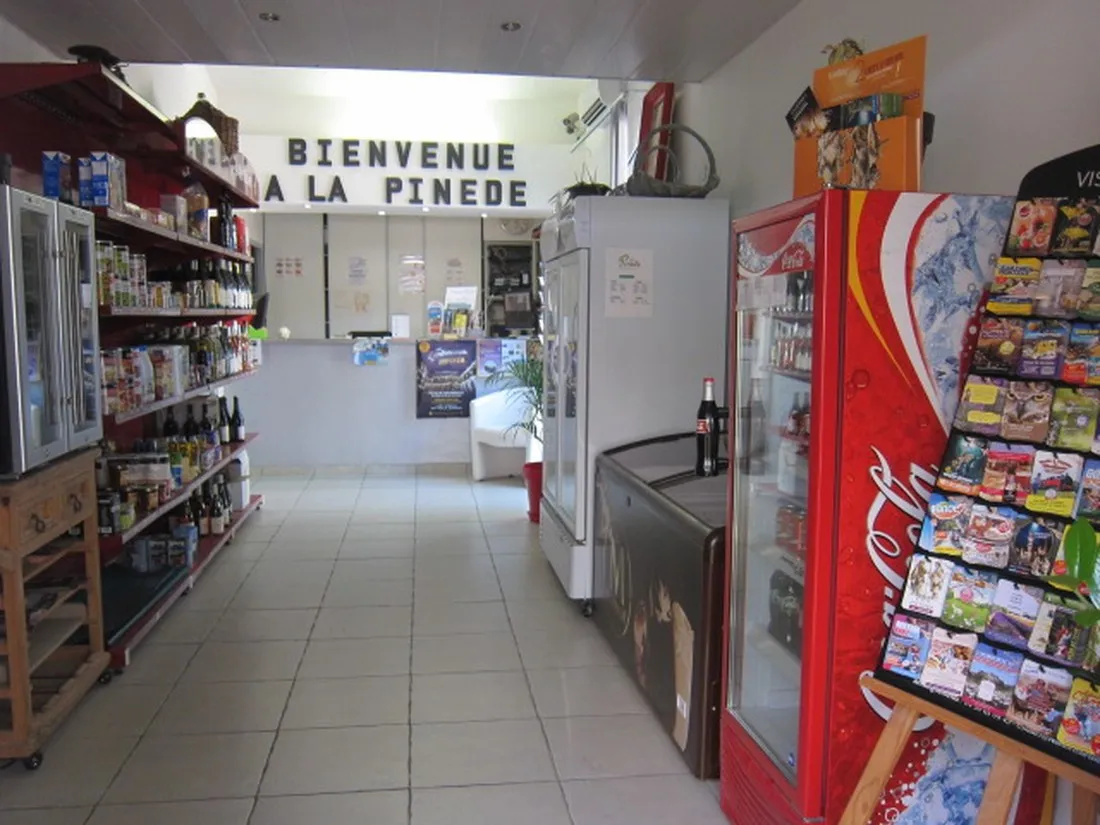 la-pinede-en-provence-mondragon-jfhms