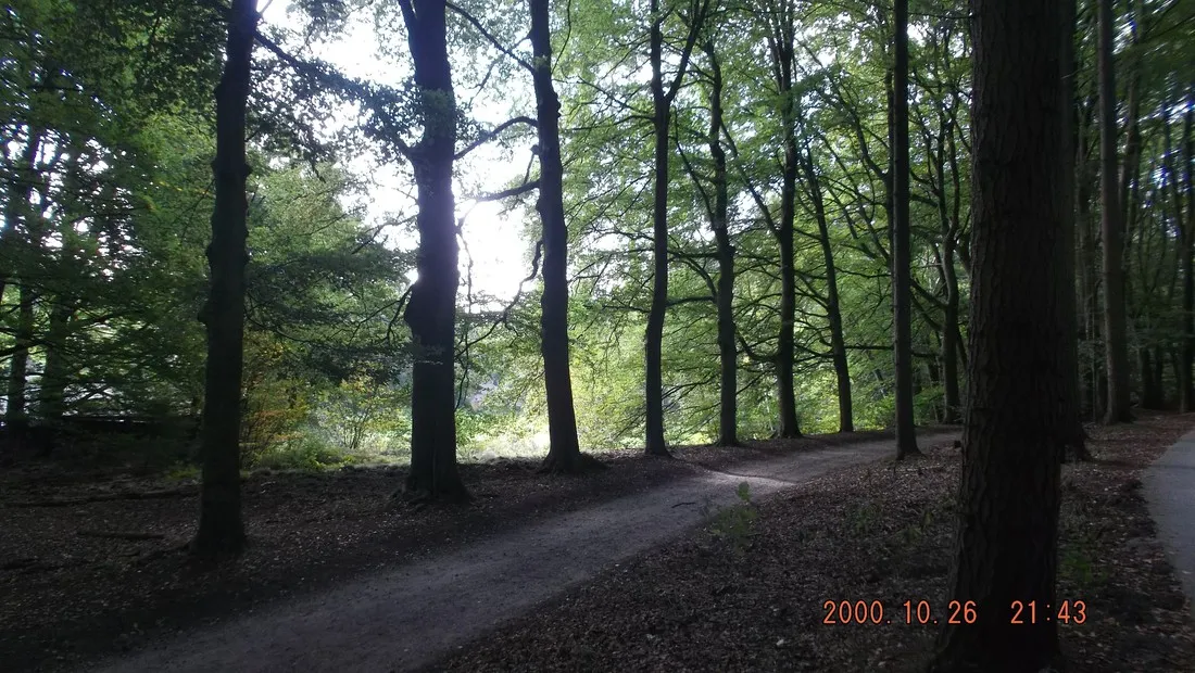 molecaten-park-landgoed-molecaten-hattem-eqn1x