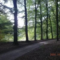 molecaten-park-landgoed-molecaten-hattem-eqn1x