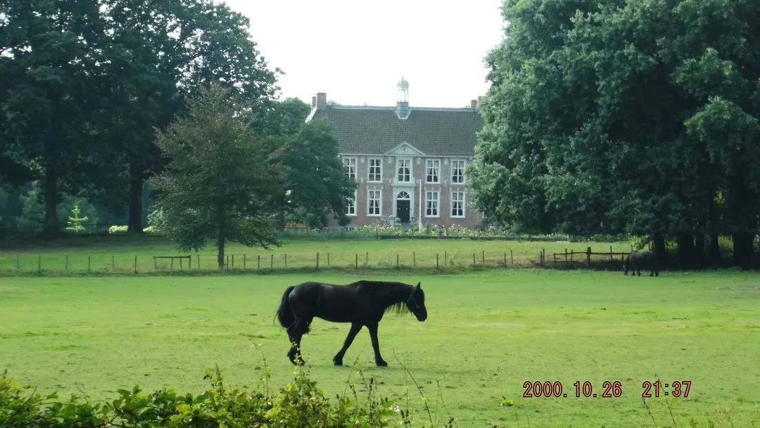 molecaten-park-landgoed-molecaten-hattem-hsdza