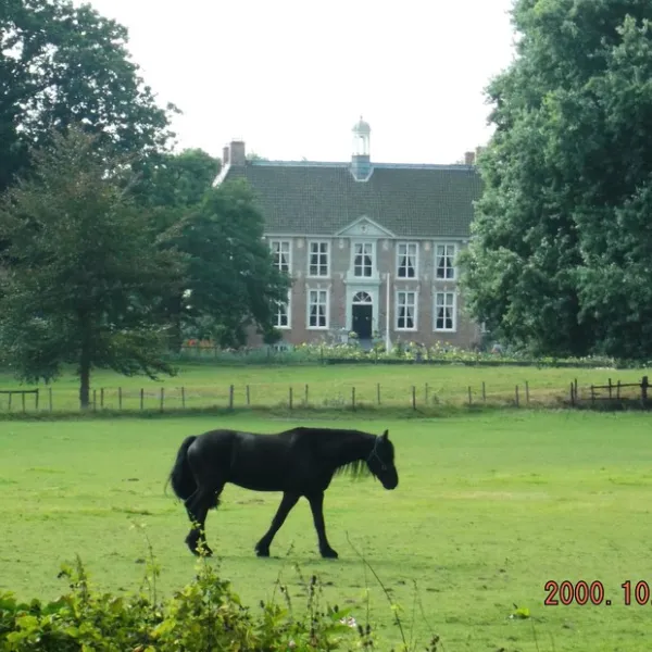 molecaten-park-landgoed-molecaten-hattem-hsdza