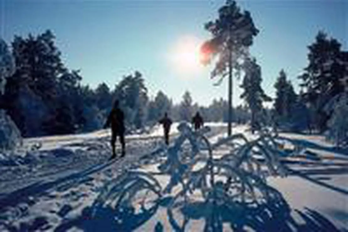 viubratan-feriesenter-harestua-rcvbm