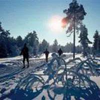 viubratan-feriesenter-harestua-rcvbm