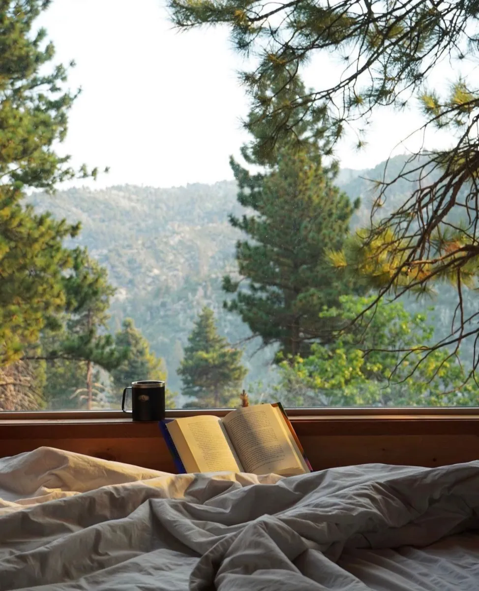 nature-nest-cabins-strangnas-deezz