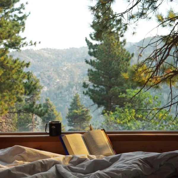 nature-nest-cabins-strangnas-deezz