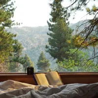nature-nest-cabins-strangnas-deezz