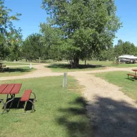 spearfish-koa-spearfish-8amcq