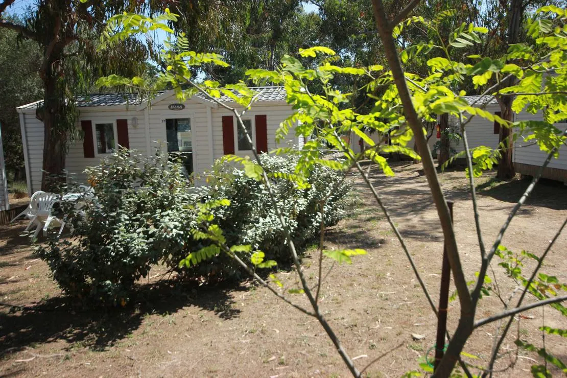 village-de-lostriconi-palasca-france-finxy
