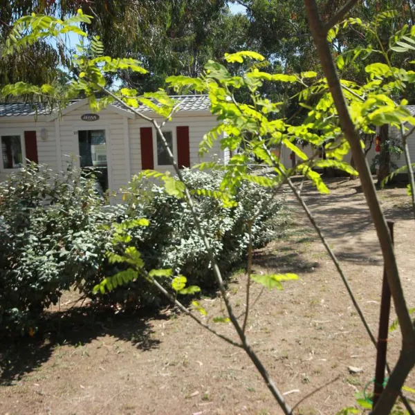 village-de-lostriconi-palasca-france-finxy