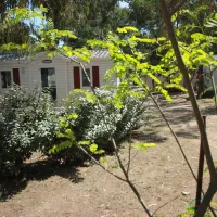 village-de-lostriconi-palasca-france-finxy