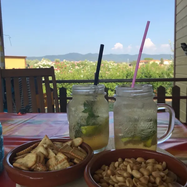 agriturismo-nonna-stella-bibbona-marina-di-bibbona-wn82p