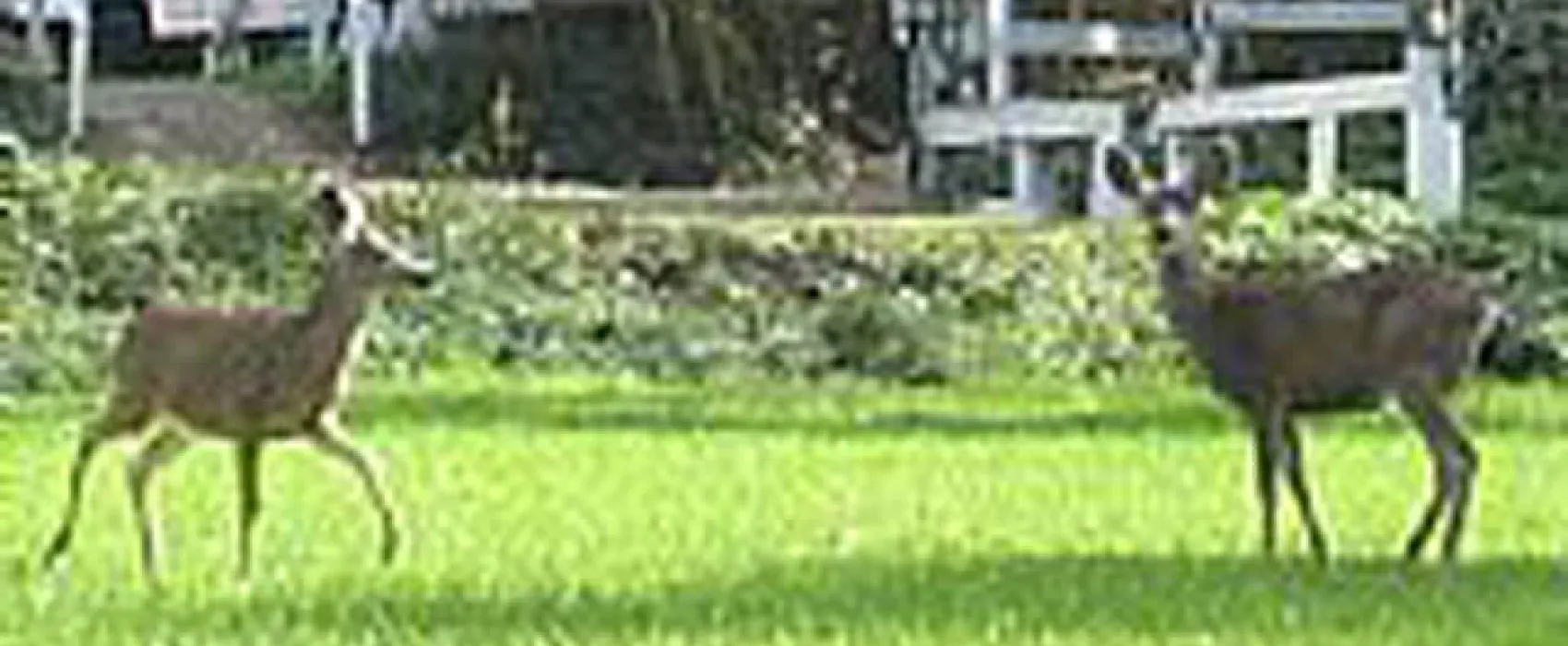 Oak Dell RV Park