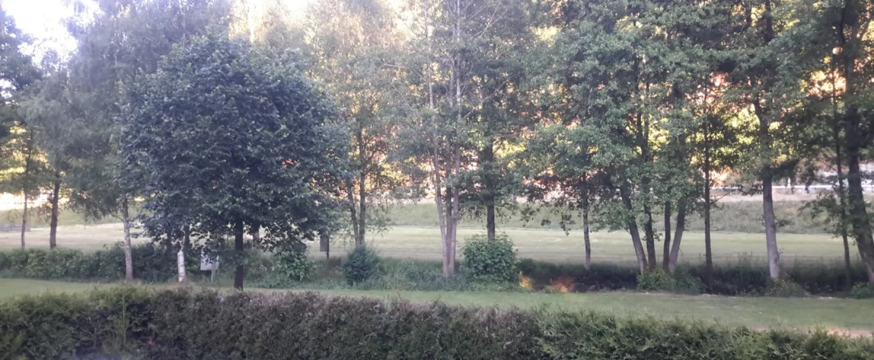 Sensweiler Muehle
