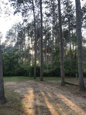 dells-timberland-camping-resort-wisconsin-dells-pjp4a