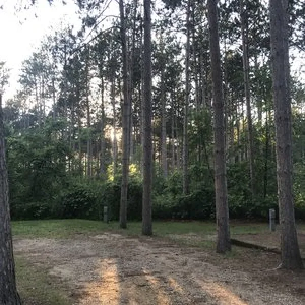 dells-timberland-camping-resort-wisconsin-dells-pjp4a