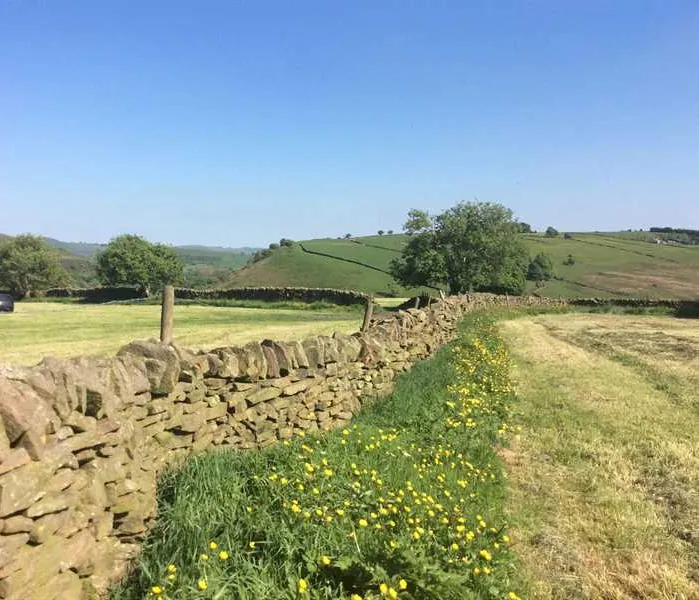 peak-glamping-hideaway-buxton-h1gc4