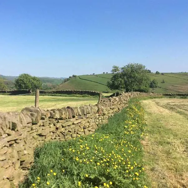peak-glamping-hideaway-buxton-h1gc4