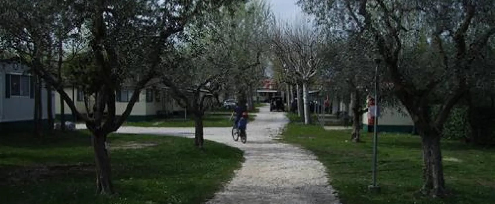 Sereno