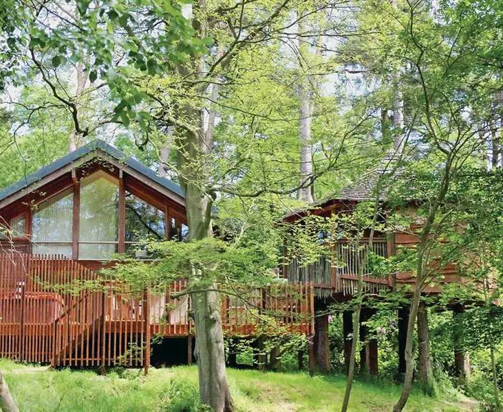 forest-holidays-keldy-pickering-aiw5n