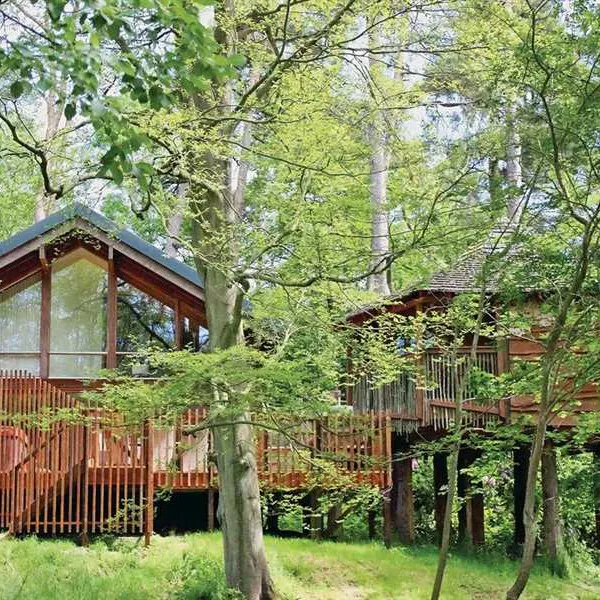 forest-holidays-keldy-pickering-aiw5n