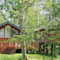 forest-holidays-keldy-pickering-aiw5n