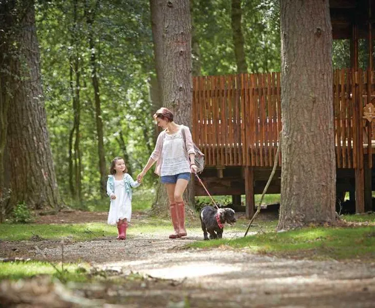 forest-holidays-keldy-pickering-bduzl