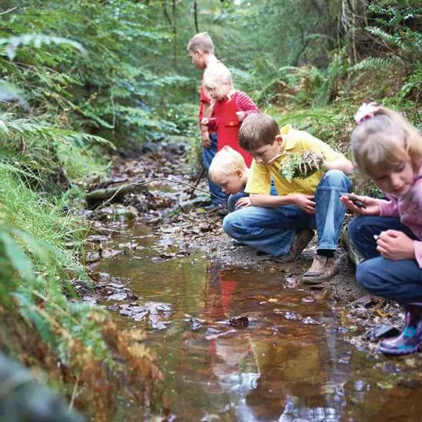 forest-holidays-keldy-pickering-d5bry
