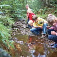 forest-holidays-keldy-pickering-d5bry