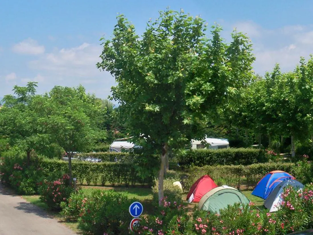 koawa-lou-comtadou-frankrijk-wx6fv