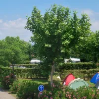 koawa-lou-comtadou-frankrijk-wx6fv