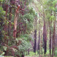 summer-falls-walkers-camp-campground-kenilworth-eep1w