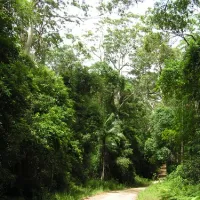 summer-falls-walkers-camp-campground-kenilworth-exyr1