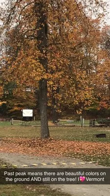 abel-mountain-campground-braintree-xgvd4