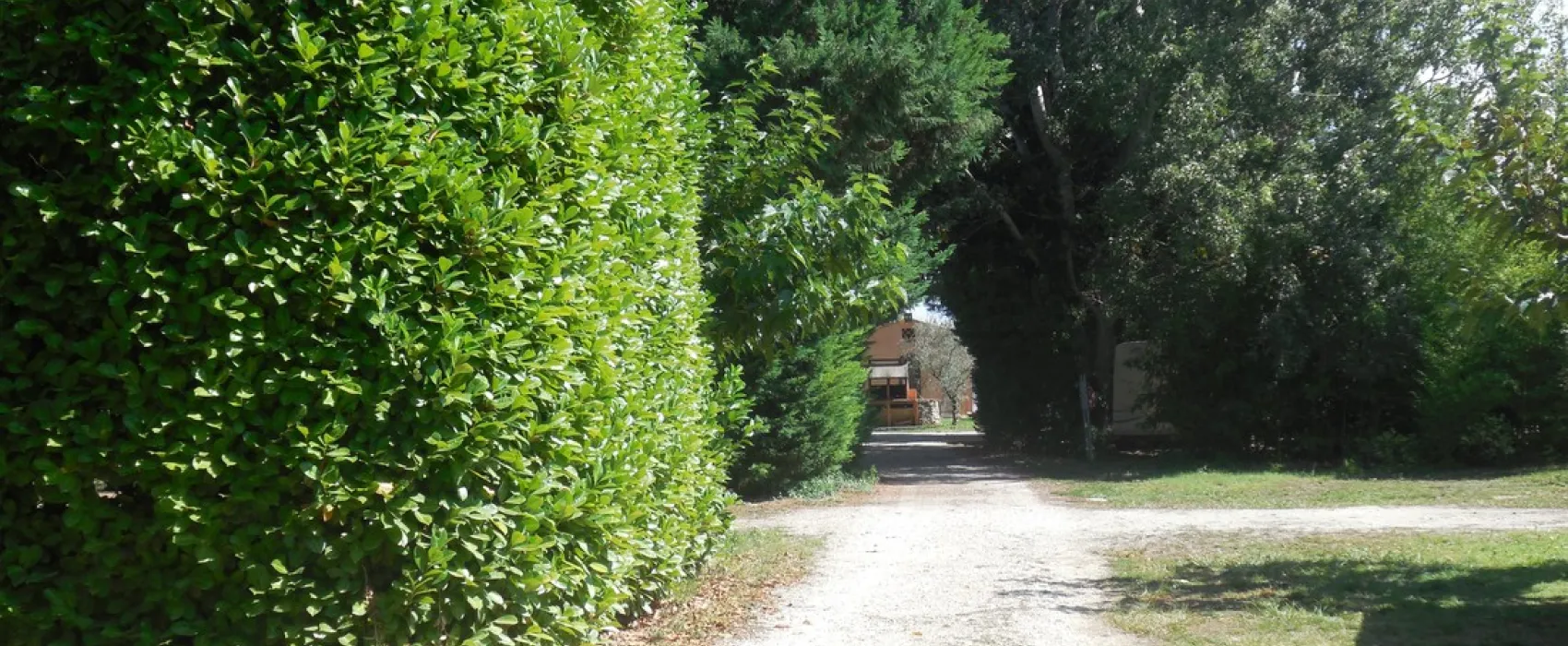 Les Cerisiers