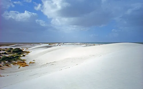 pt-gibbon-beach-camp-campground-port-gibbon-9n8mn