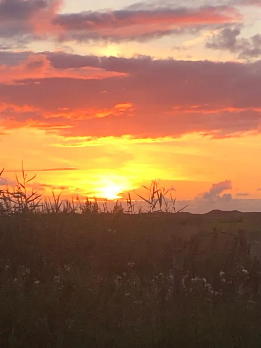 boerderijcamping-texel-texel-svojl